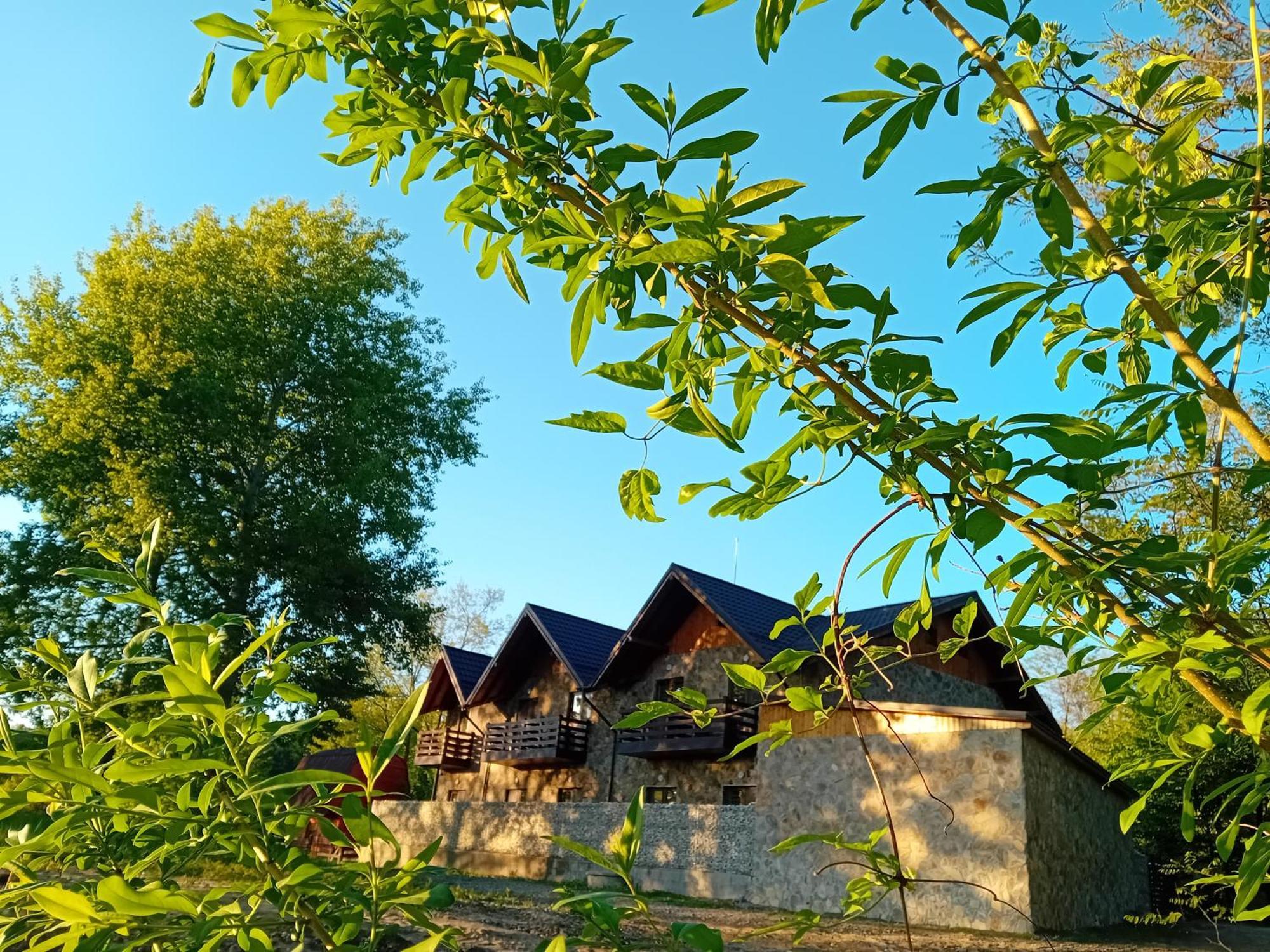 Conacul Cosalina Otel Sovata Dış mekan fotoğraf